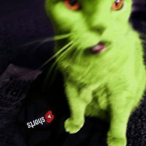 Avatar użytkownika