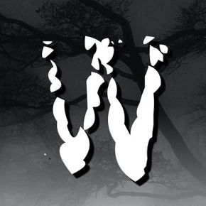 Avatar Tajemniczy Wrocław