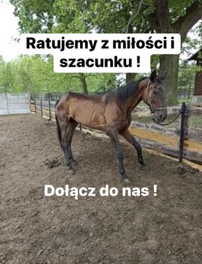 Avatar Oaza „Międzyleś” 