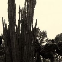 Film - Zamojskie Powstanie