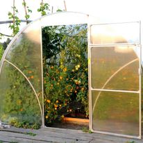 Nasza pierwsza szkloarnia.