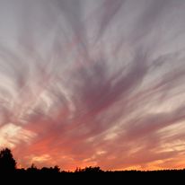Taki spektakl o zachodzi mamy u nas prawie codziennie.