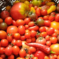 Jeden z naszych zbiorów.