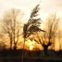 Plener Bełżyce - 18.01.2018