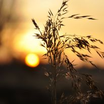 Plener Bełżyce - 18.01.2018