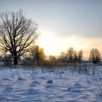 Plener Bełżyce - 18.01.2018