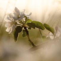 Plener Bełżyce - 30.04.2019