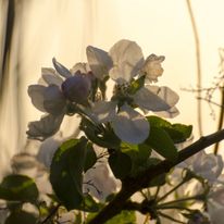 Plener Bełżyce - 30.04.2019