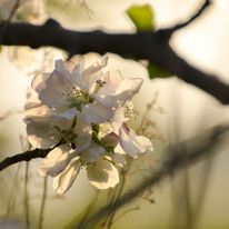 Plener Bełżyce - 30.04.2019