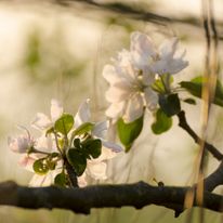 Plener Bełżyce - 30.04.2019