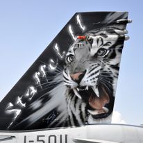 Szwajcaria, pokazy lotnicze Air Payerne 14- 06.09.2014