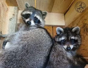 Avatar Zagroda w Zakrzewie 