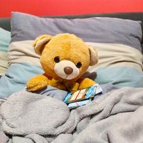 Miś i jego Samotna Wyspa