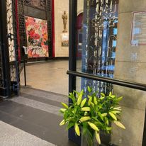 Kinoteka rozkwita dzięki Wam!