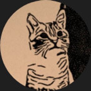 Avatar użytkownika