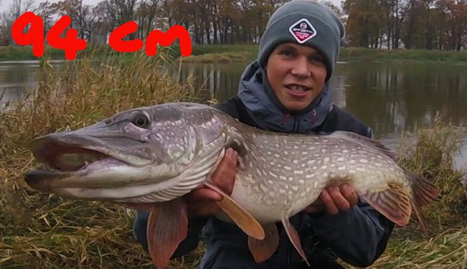Zdjecie Szczupak 94cm
