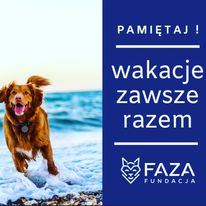 jedna z wielu kampanii Fundacji FAZA