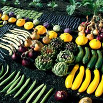 są to warzywa i owoce uprawiane w Eden Project w Irlandii