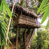 dodatkowe atrakcje w ZPOD, możliwość noclegu w dżungli