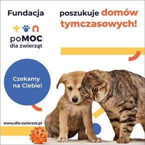 Avatar Fundacja  pomoc dla zwierząt