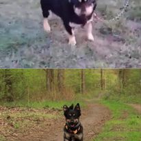 Ushi po miesiącu w nowym domu 