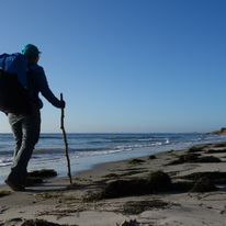 Bałtycka plaża w styczniu - Dania