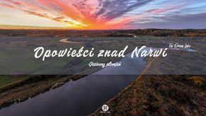 Avatar użytkownika