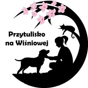 Avatar użytkownika