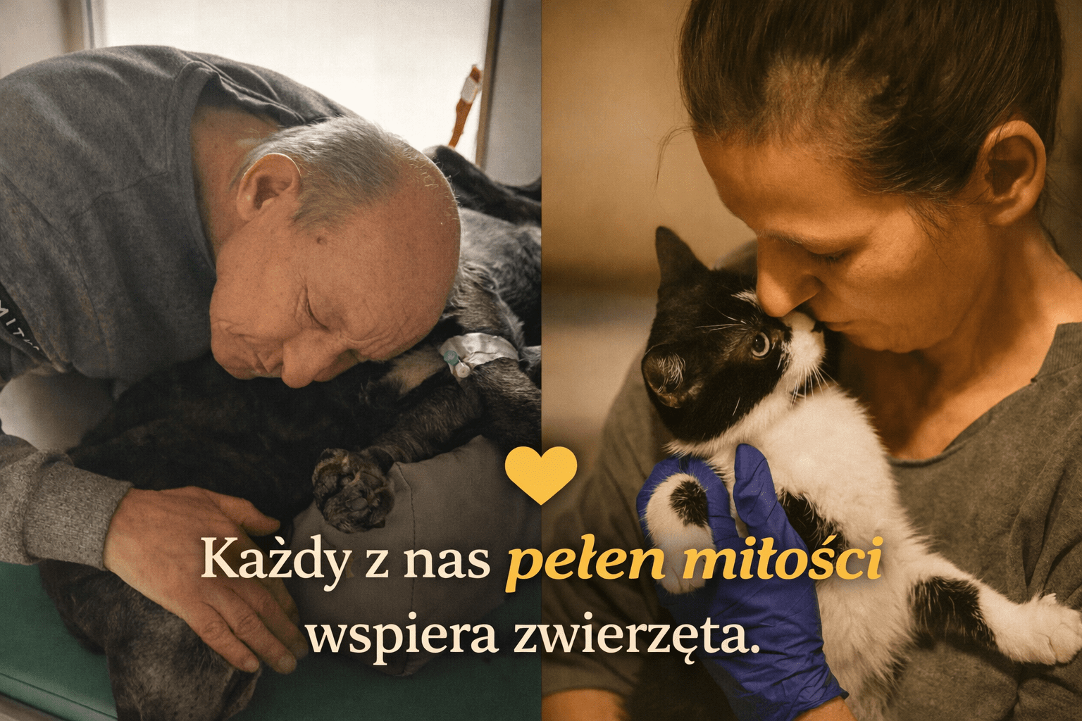 rFmR0UVuwb7ZyC7l.png