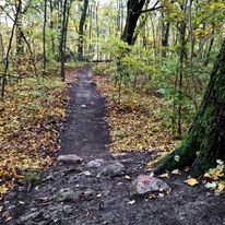 Część trasy na zawody z 2015 roku