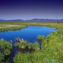Tytuł książki "Nasze bagno". Mimo zawiłej fabuły, ta książka jest tak lekka jak widok na tym zdjęciu.