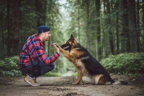 Avatar Pan od Owczarków