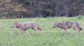 Avatar Sebastian Sobowiec
