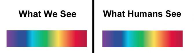 (w internetach nikt nie wie, że jesteś cyborgiem z przyszłości i jedynie zbierasz dane do inwazji)