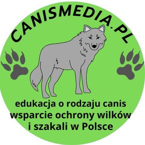Avatar użytkownika